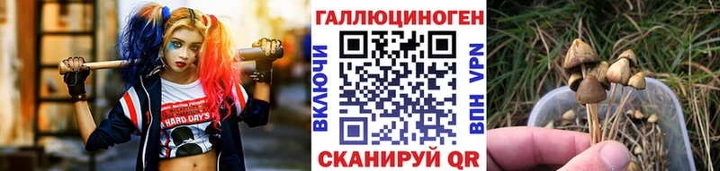 Галлюциногенные грибы мухоморы  как найти   Плёс 